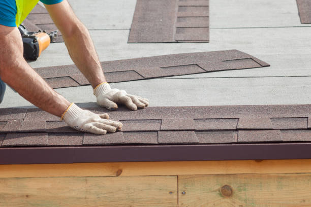 Best Roof Moss and Algae Removal  in Westwood Lakes, FL